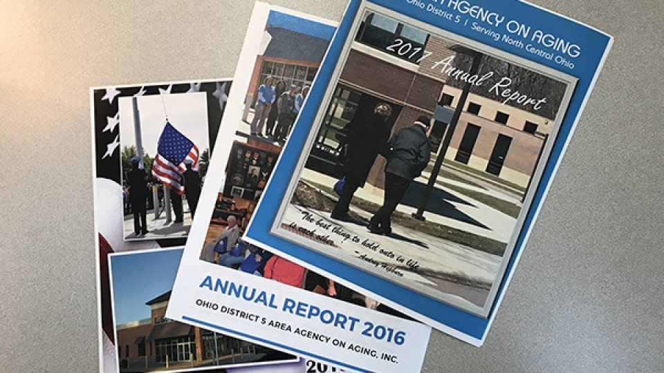 Annual reports link